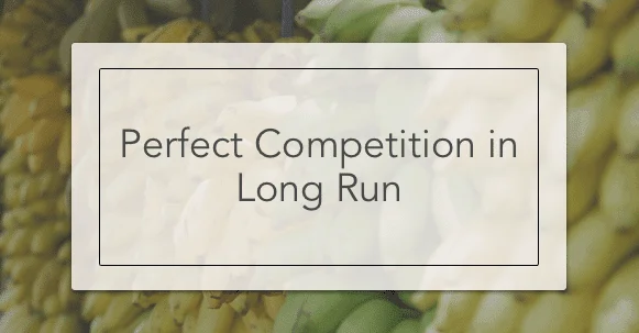 Perfect Competition Long Run