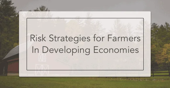 risk strategies for farmers