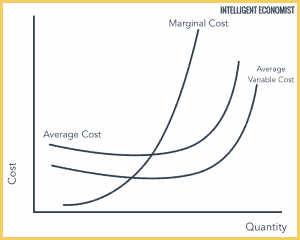 Theory Of Production: Cost Theory | Intelligent Economist