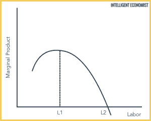 Theory Of Production: Short-Run | Intelligent Economist