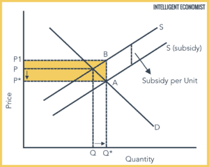 Subsidies - Intelligent Economist