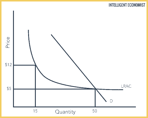 Natural Monopoly Intelligent Economist