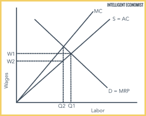 Monopsony Market Structure - Intelligent Economist