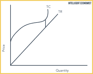 Perfect Competition - Intelligent Economist