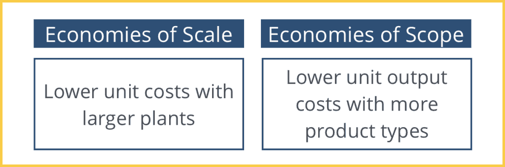 Economies Of Scope Intelligent Economist